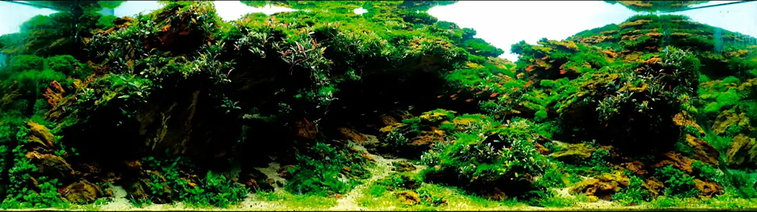 [TheStoriesOfTop7] Hideaway - Long Tran Hoang / VietNam - IAPLC 2016